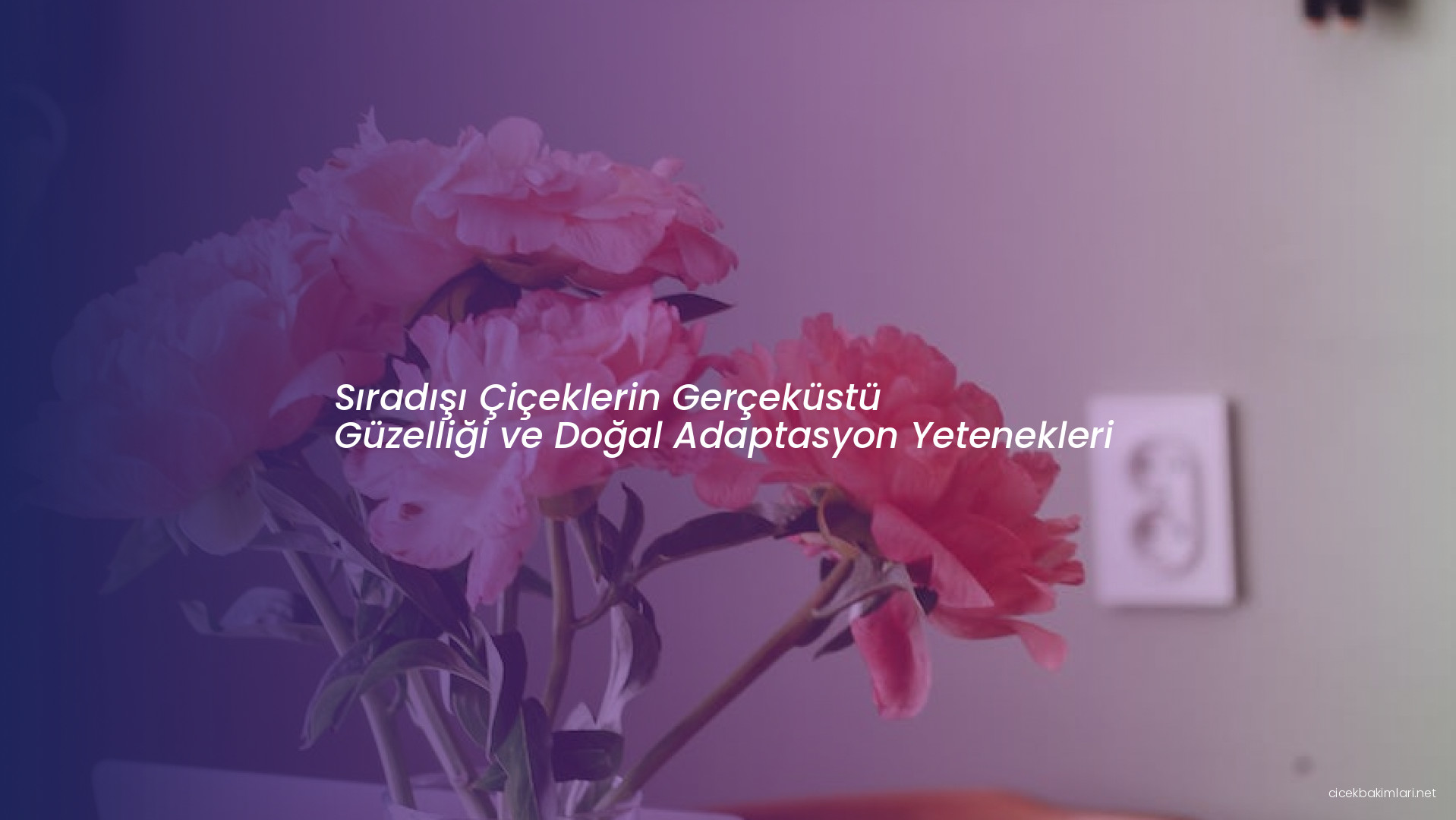 Sıradışı Çiçeklerin Gerçeküstü Güzelliği ve Doğal Adaptasyon Yetenekleri