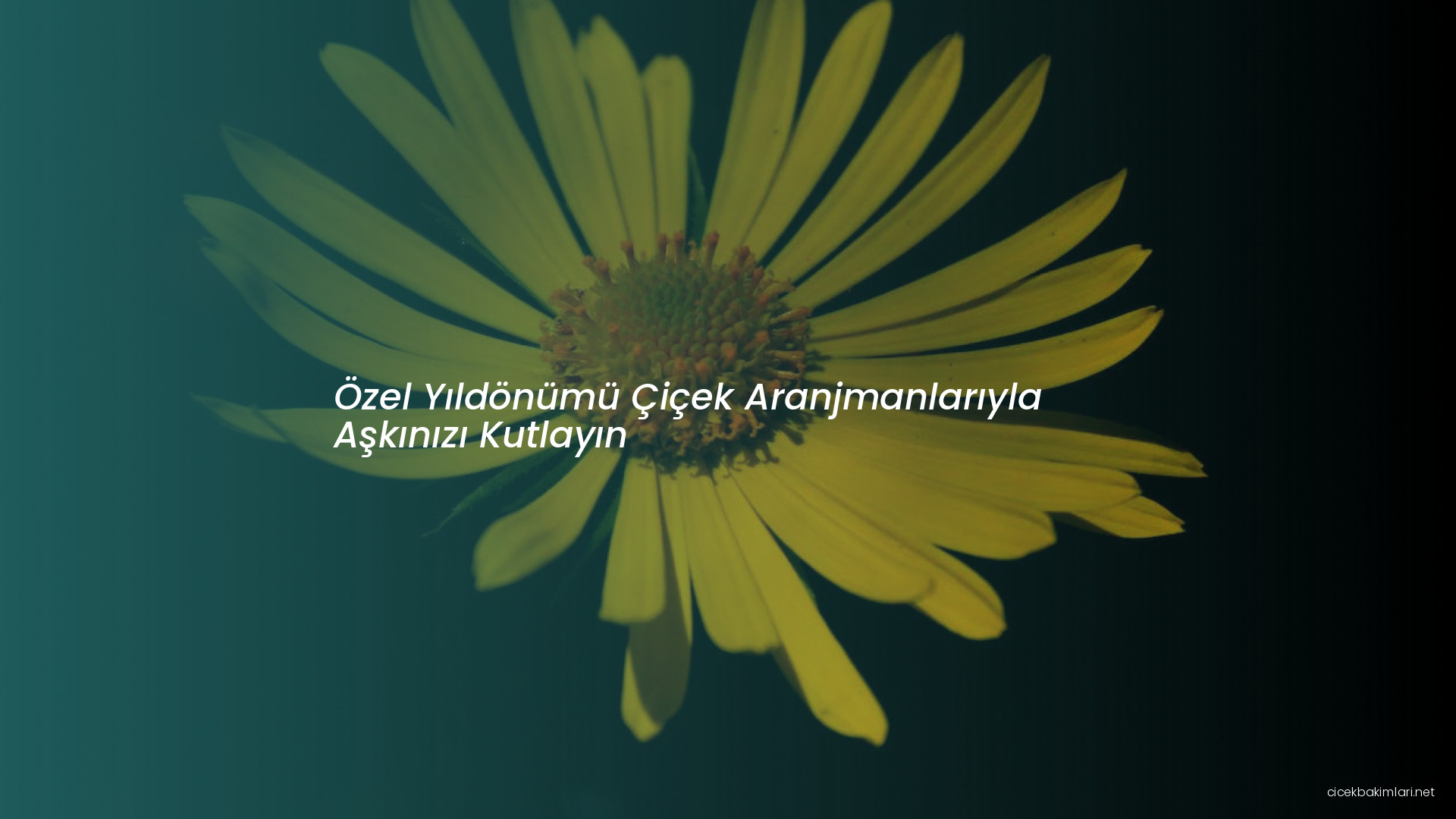 Özel Yıldönümü Çiçek Aranjmanlarıyla Aşkınızı Kutlayın