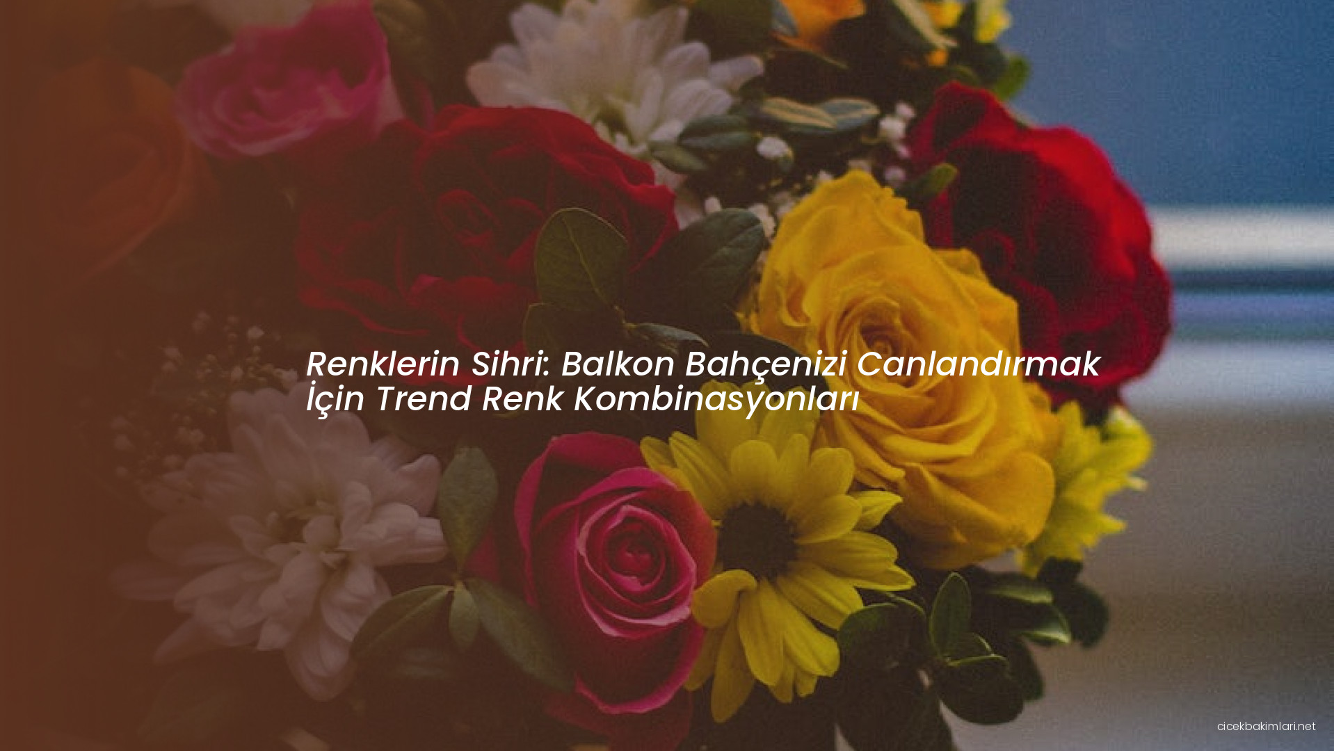 Renklerin Sihri: Balkon Bahçenizi Canlandırmak İçin Trend Renk Kombinasyonları