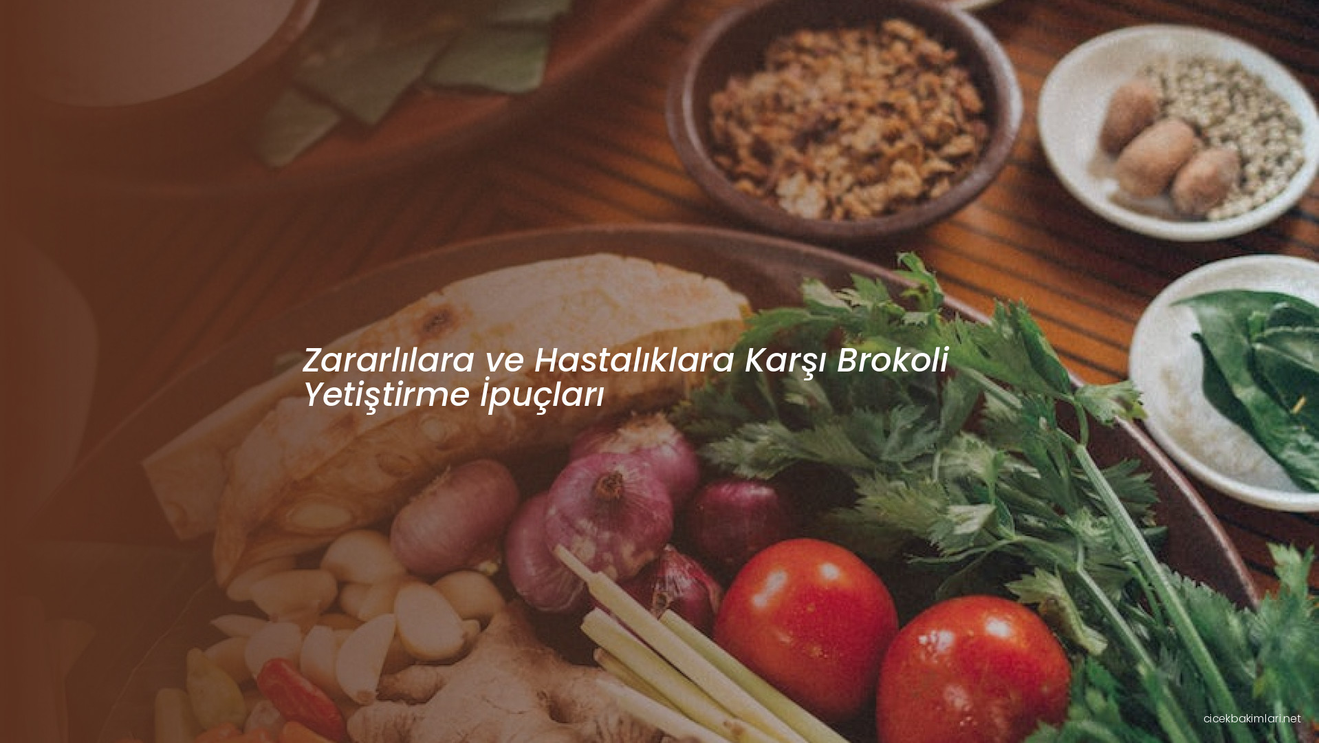 Zararlılara ve Hastalıklara Karşı Brokoli Yetiştirme İpuçları