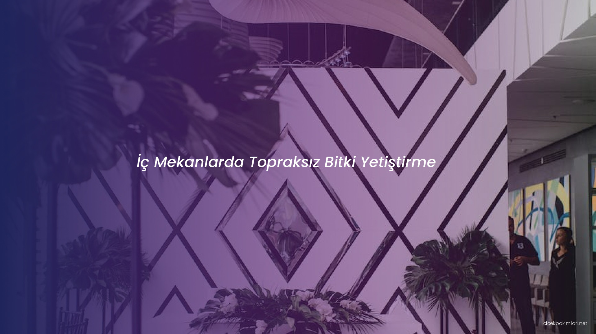 İç Mekanlarda Topraksız Bitki Yetiştirme