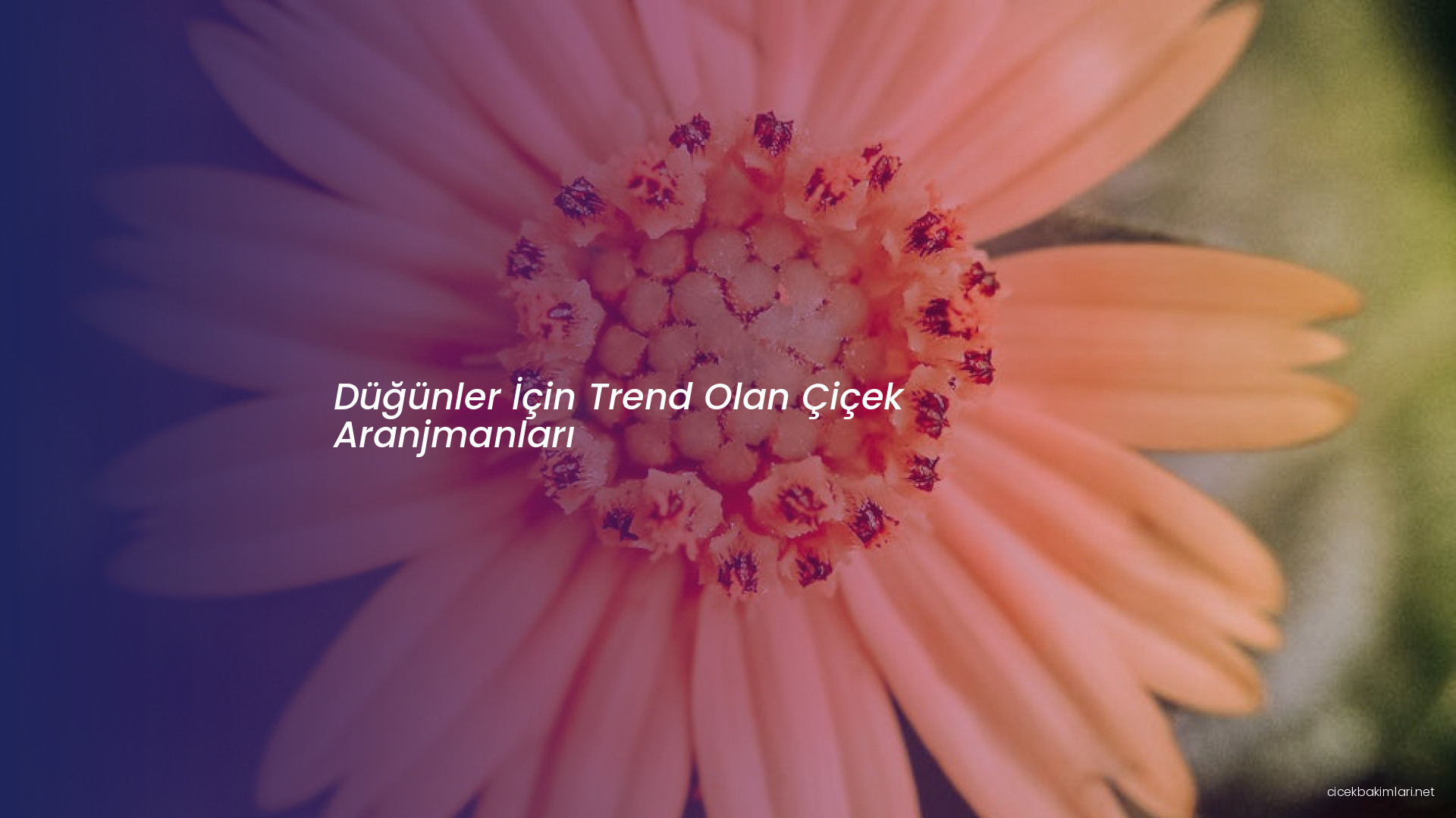 Düğünler İçin Trend Olan Çiçek Aranjmanları