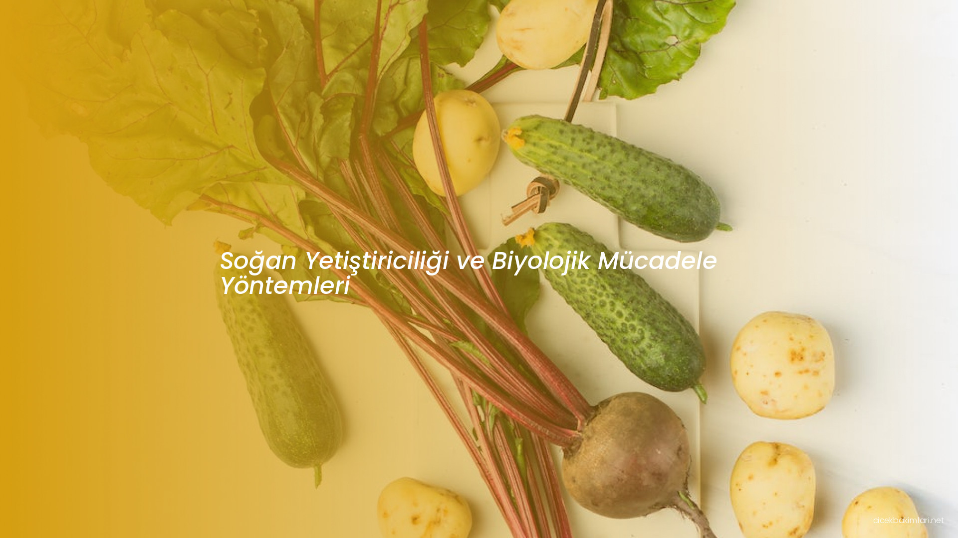 Soğan Yetiştiriciliği ve Biyolojik Mücadele Yöntemleri