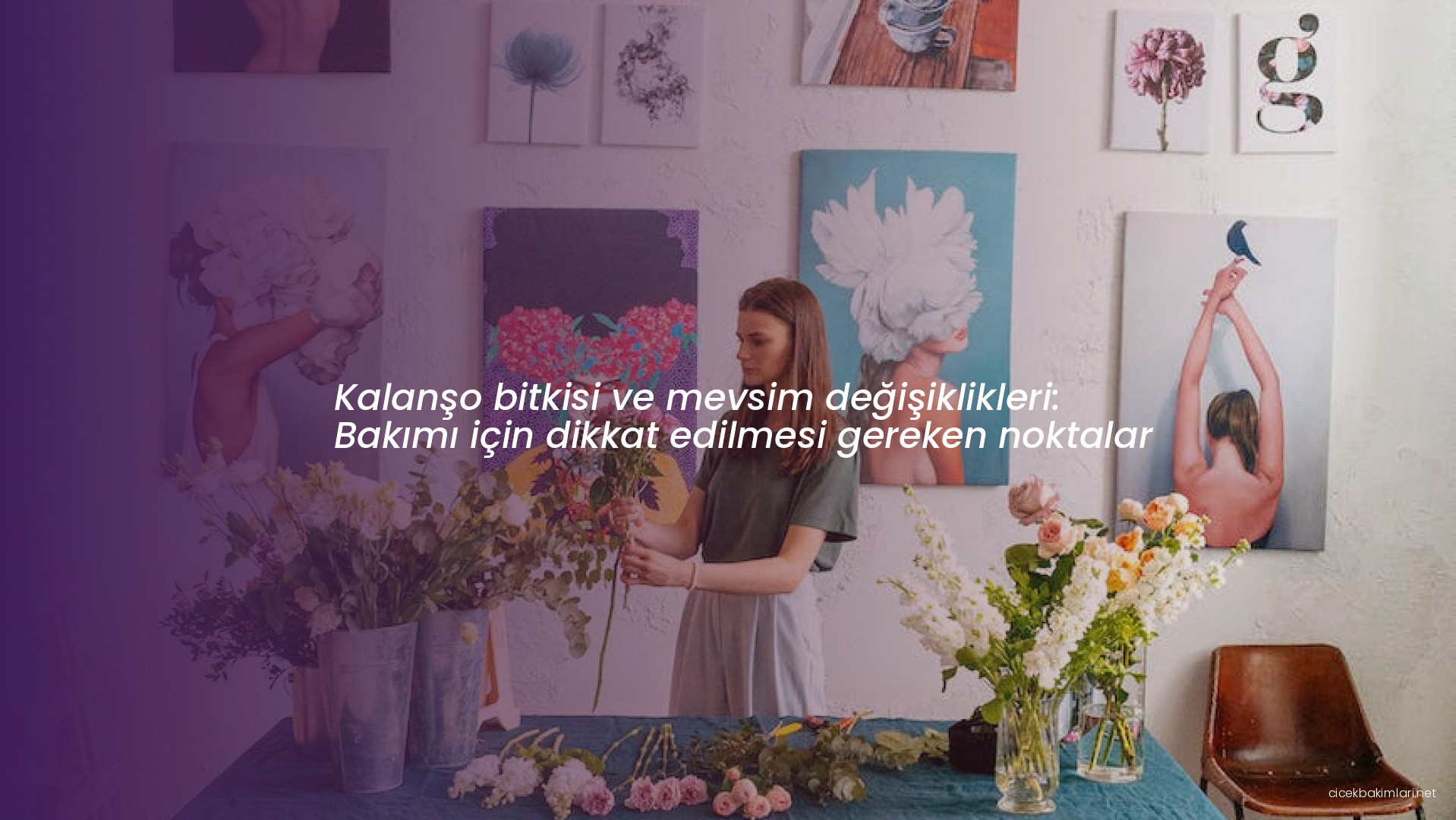 Kalanşo bitkisi ve mevsim değişiklikleri: Bakımı için dikkat edilmesi gereken noktalar