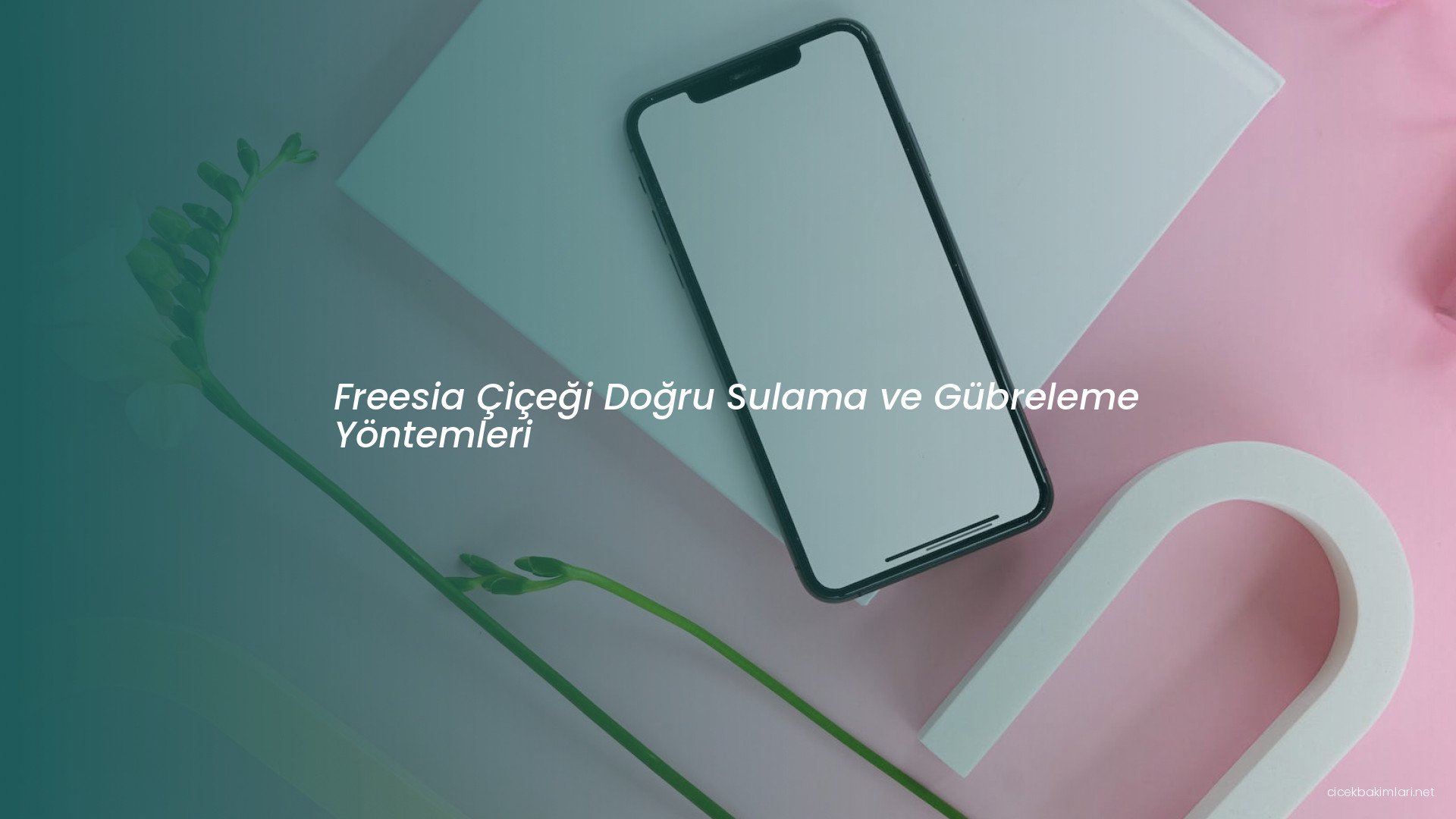 Freesia Çiçeği Doğru Sulama ve Gübreleme Yöntemleri