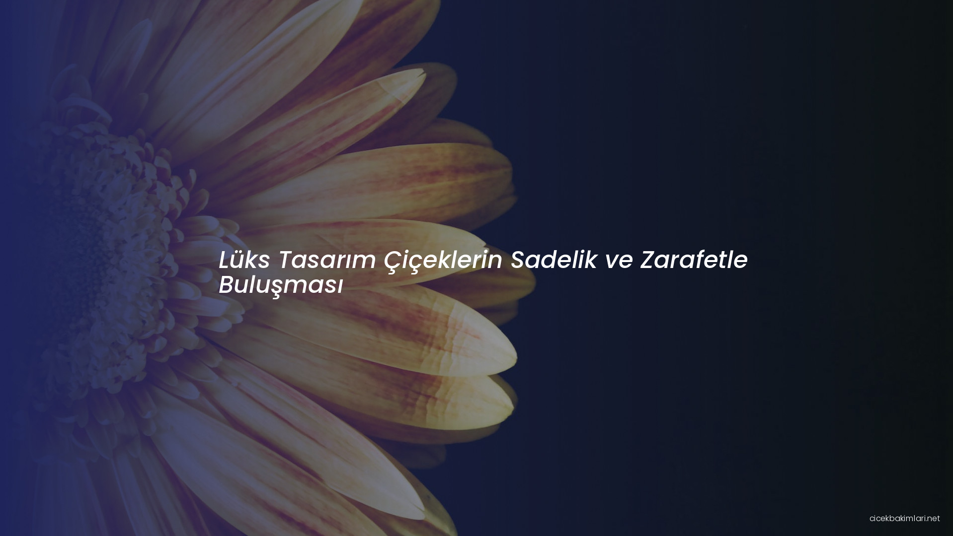 Lüks Tasarım Çiçeklerin Sadelik ve Zarafetle Buluşması