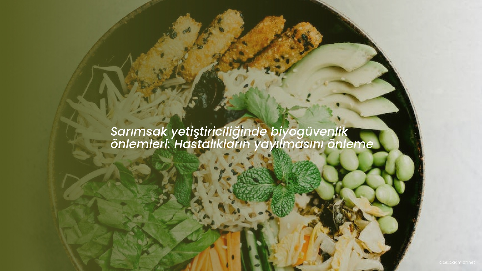Sarımsak yetiştiriciliğinde biyogüvenlik önlemleri: Hastalıkların yayılmasını önleme