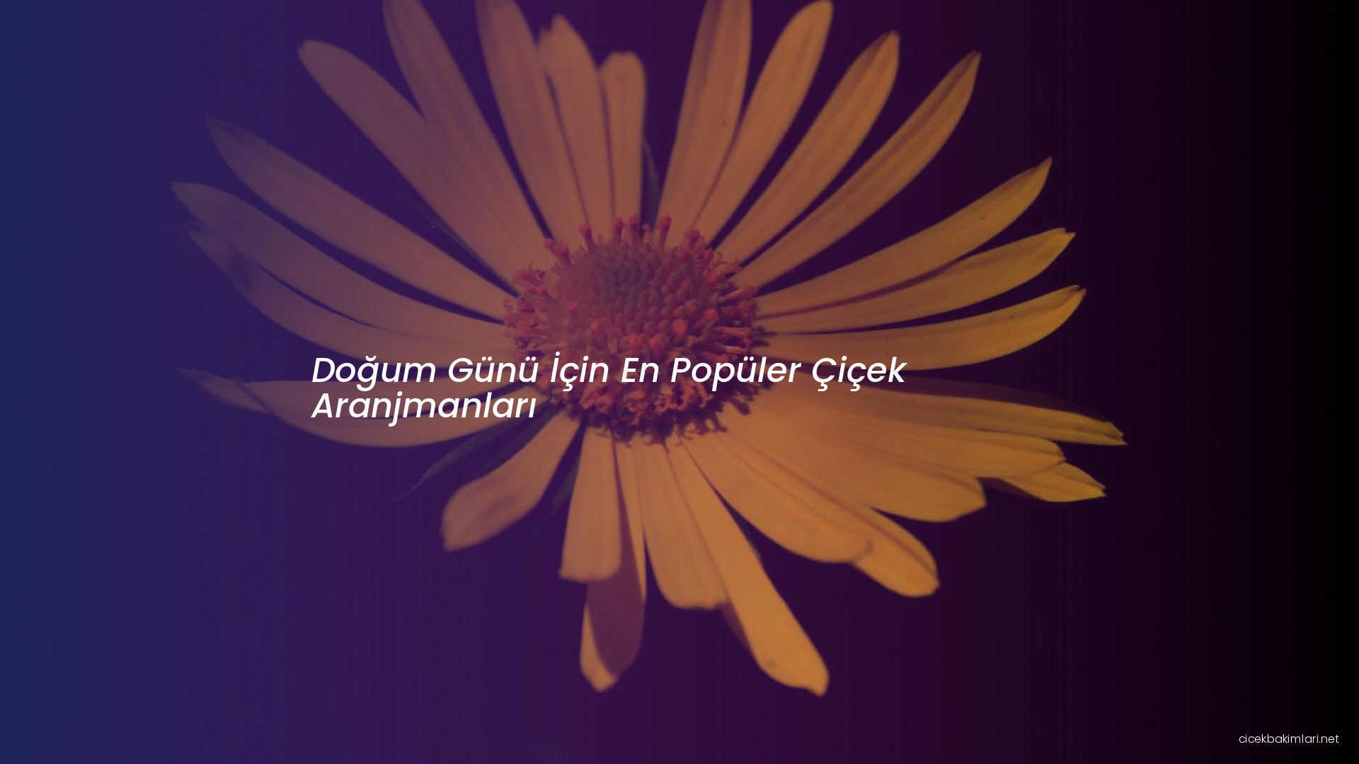 Doğum Günü İçin En Popüler Çiçek Aranjmanları