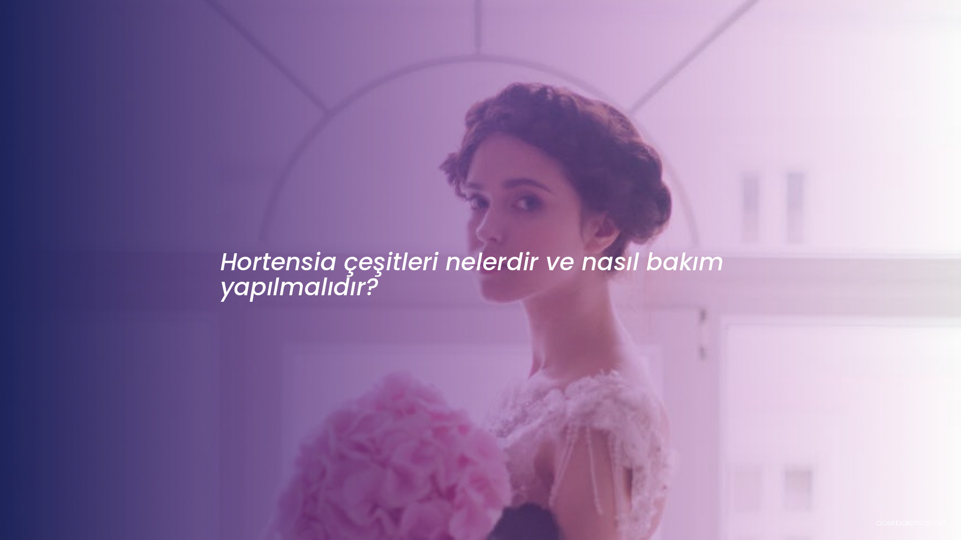 Hortensia çeşitleri nelerdir ve nasıl bakım yapılmalıdır?