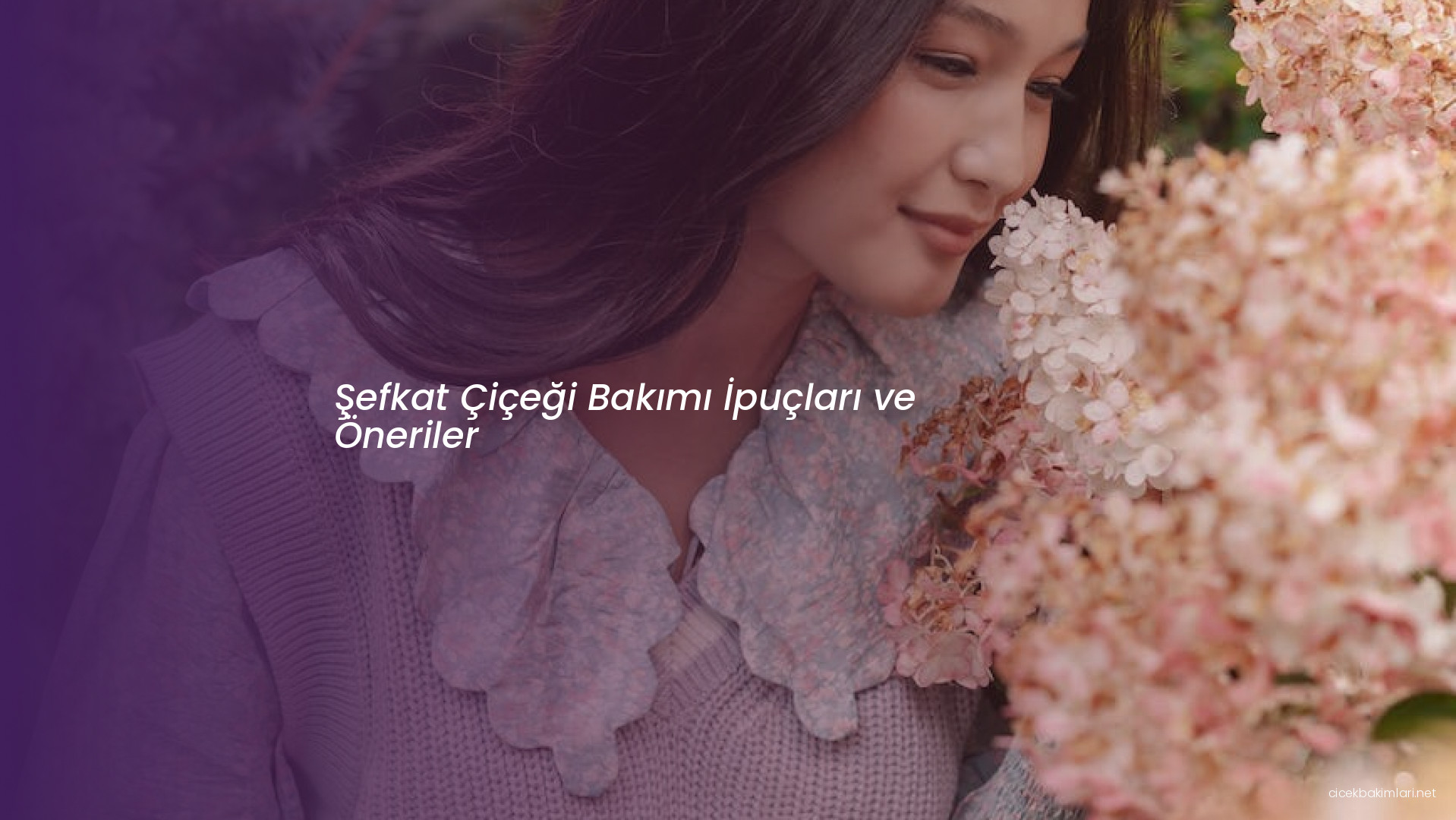 Şefkat Çiçeği Bakımı İpuçları ve Öneriler