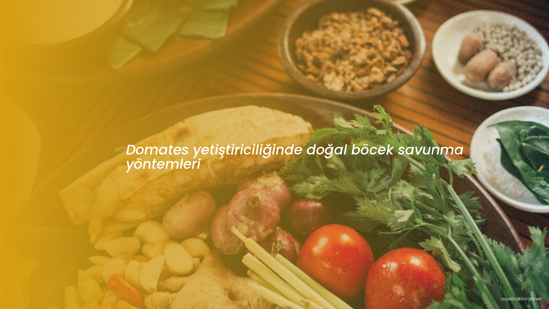 Domates yetiştiriciliğinde doğal böcek savunma yöntemleri