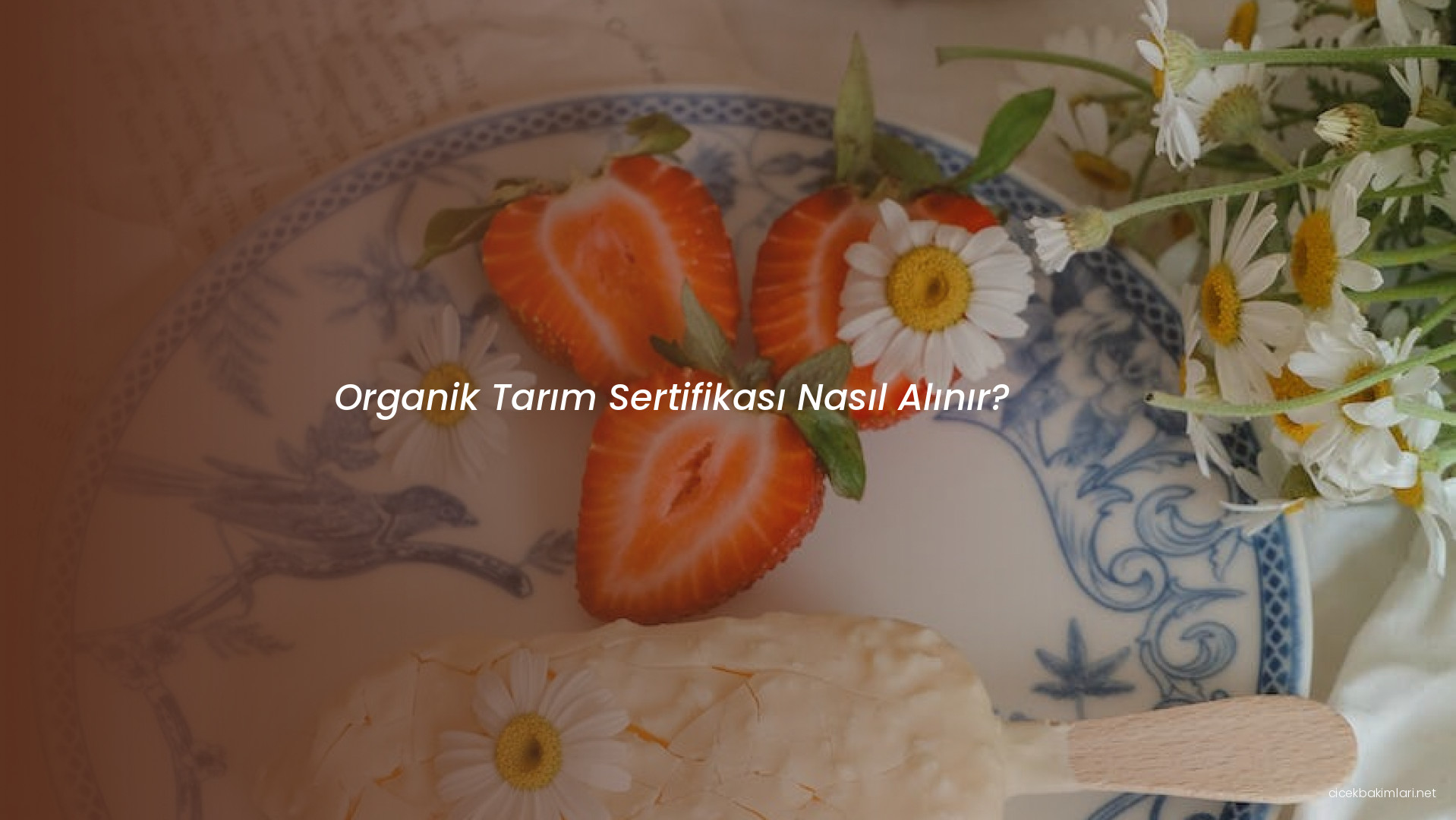 Organik Tarım Sertifikası Nasıl Alınır?