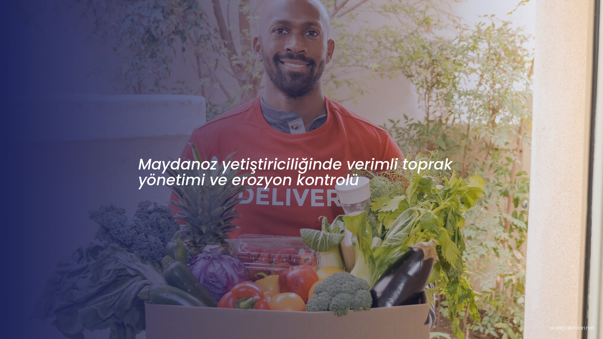 Maydanoz yetiştiriciliğinde verimli toprak yönetimi ve erozyon kontrolü