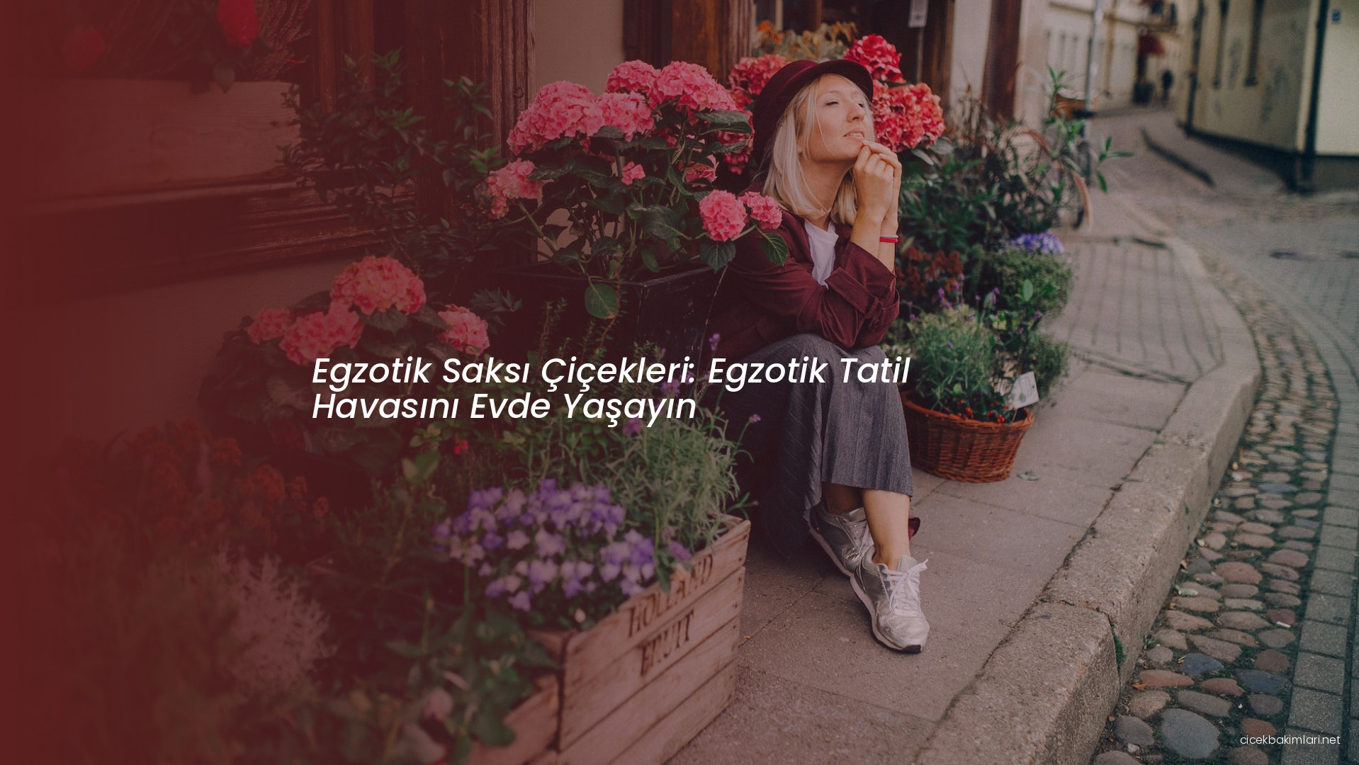 Egzotik Saksı Çiçekleri: Egzotik Tatil Havasını Evde Yaşayın