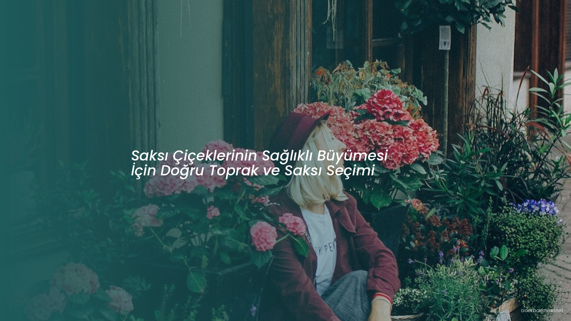 Saksı Çiçeklerinin Sağlıklı Büyümesi İçin Doğru Toprak ve Saksı Seçimi