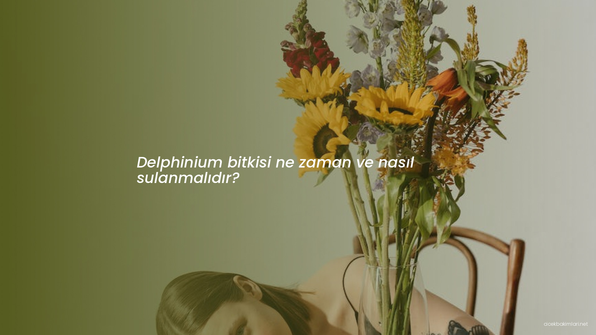Delphinium bitkisi ne zaman ve nasıl sulanmalıdır?