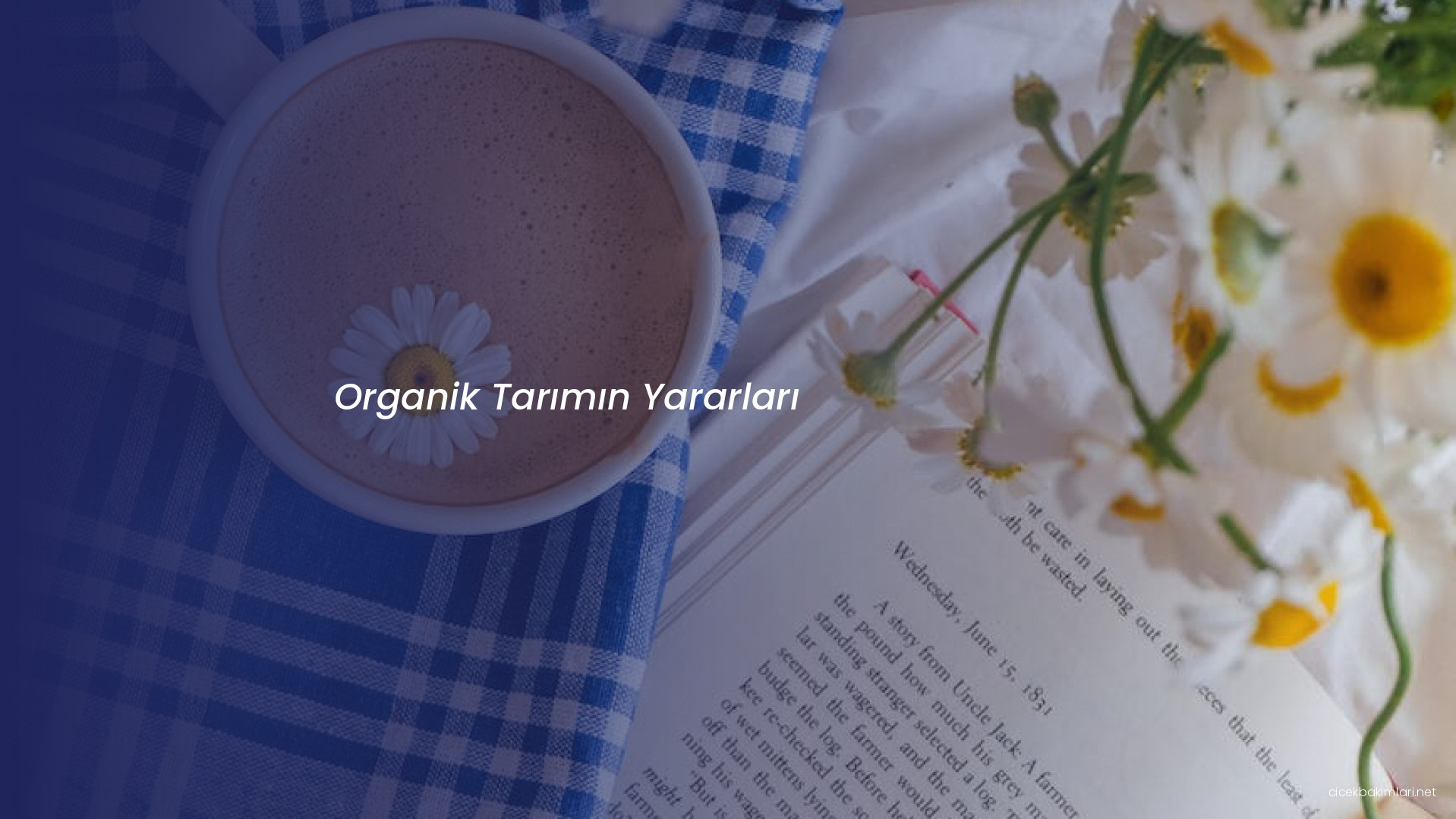 Organik Tarımın Yararları