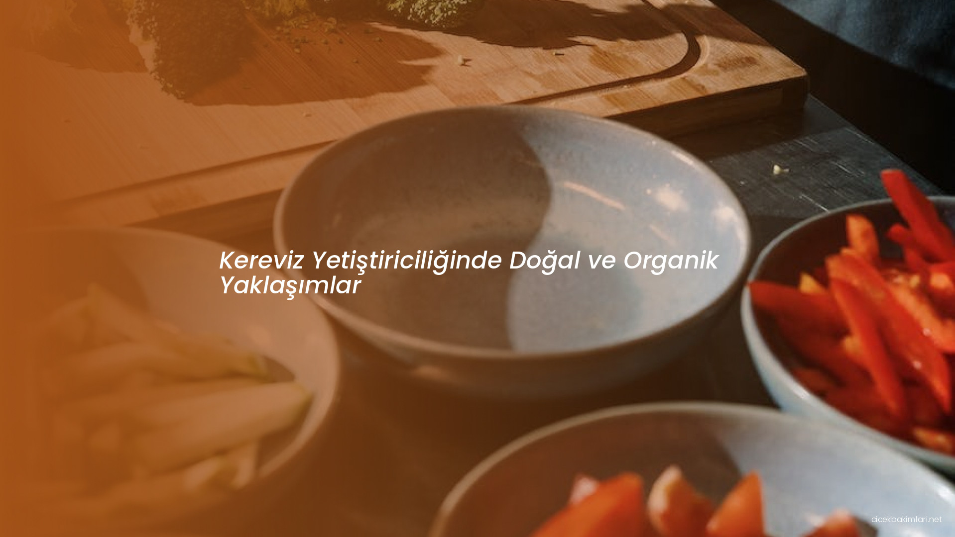 Kereviz Yetiştiriciliğinde Doğal ve Organik Yaklaşımlar