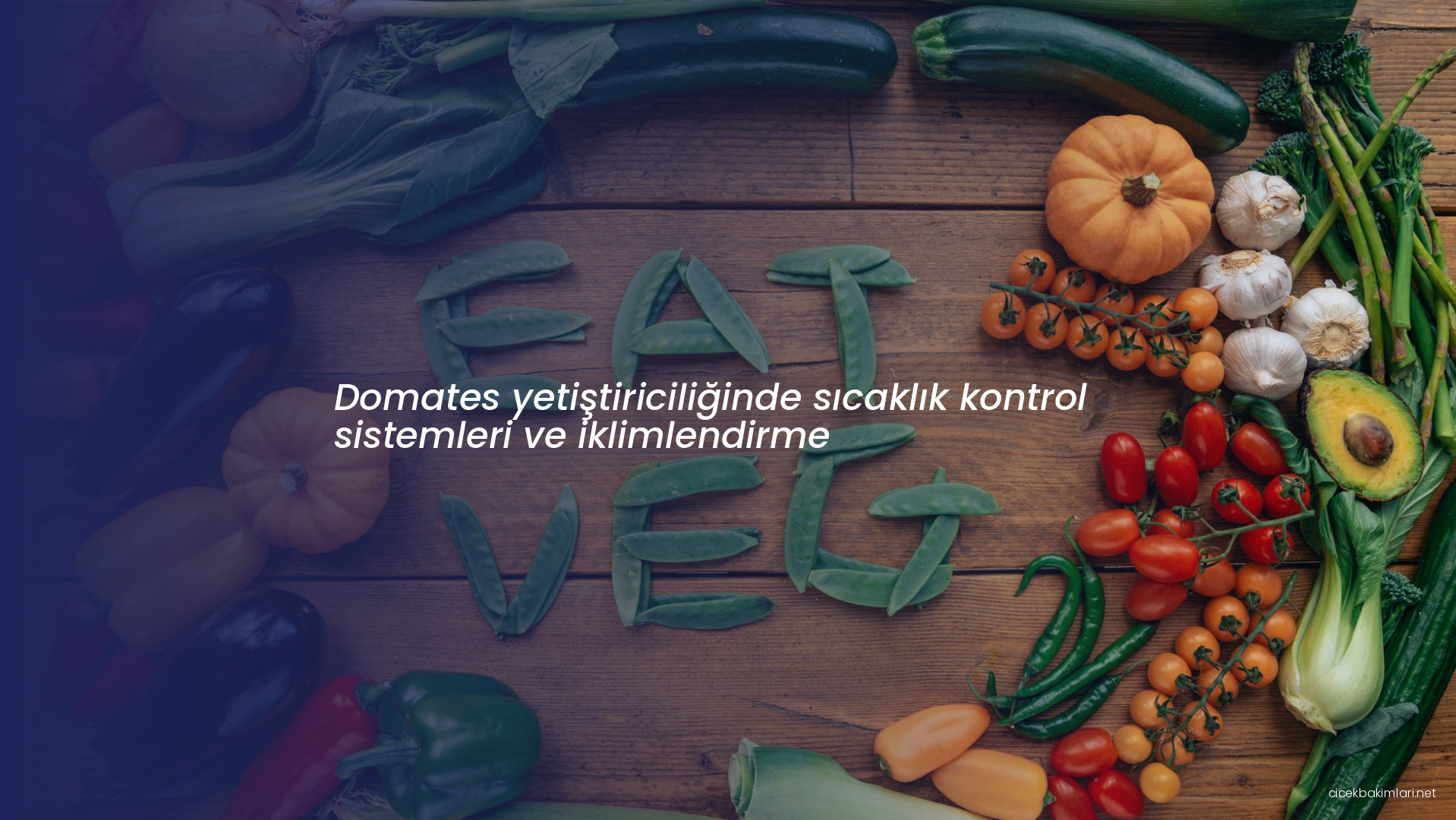 Domates yetiştiriciliğinde sıcaklık kontrol sistemleri ve iklimlendirme