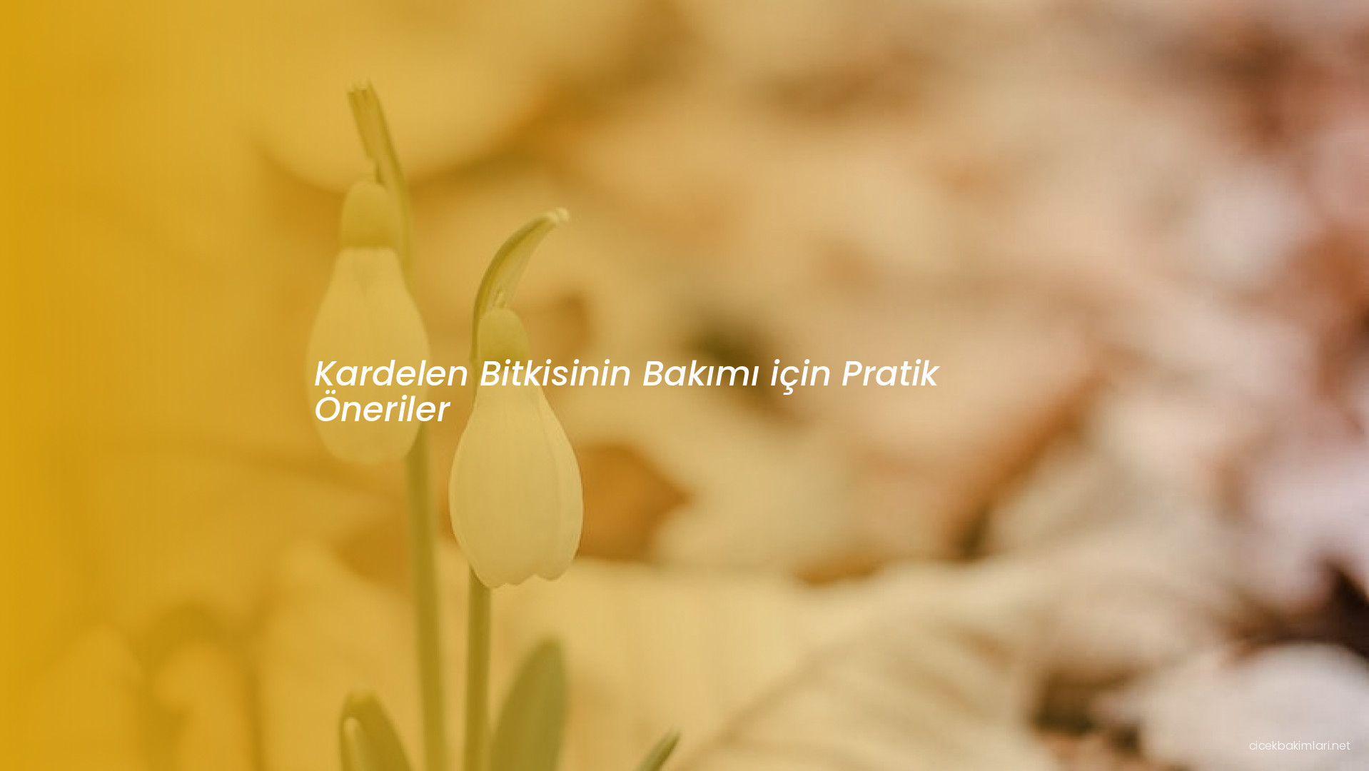 Kardelen Bitkisinin Bakımı için Pratik Öneriler