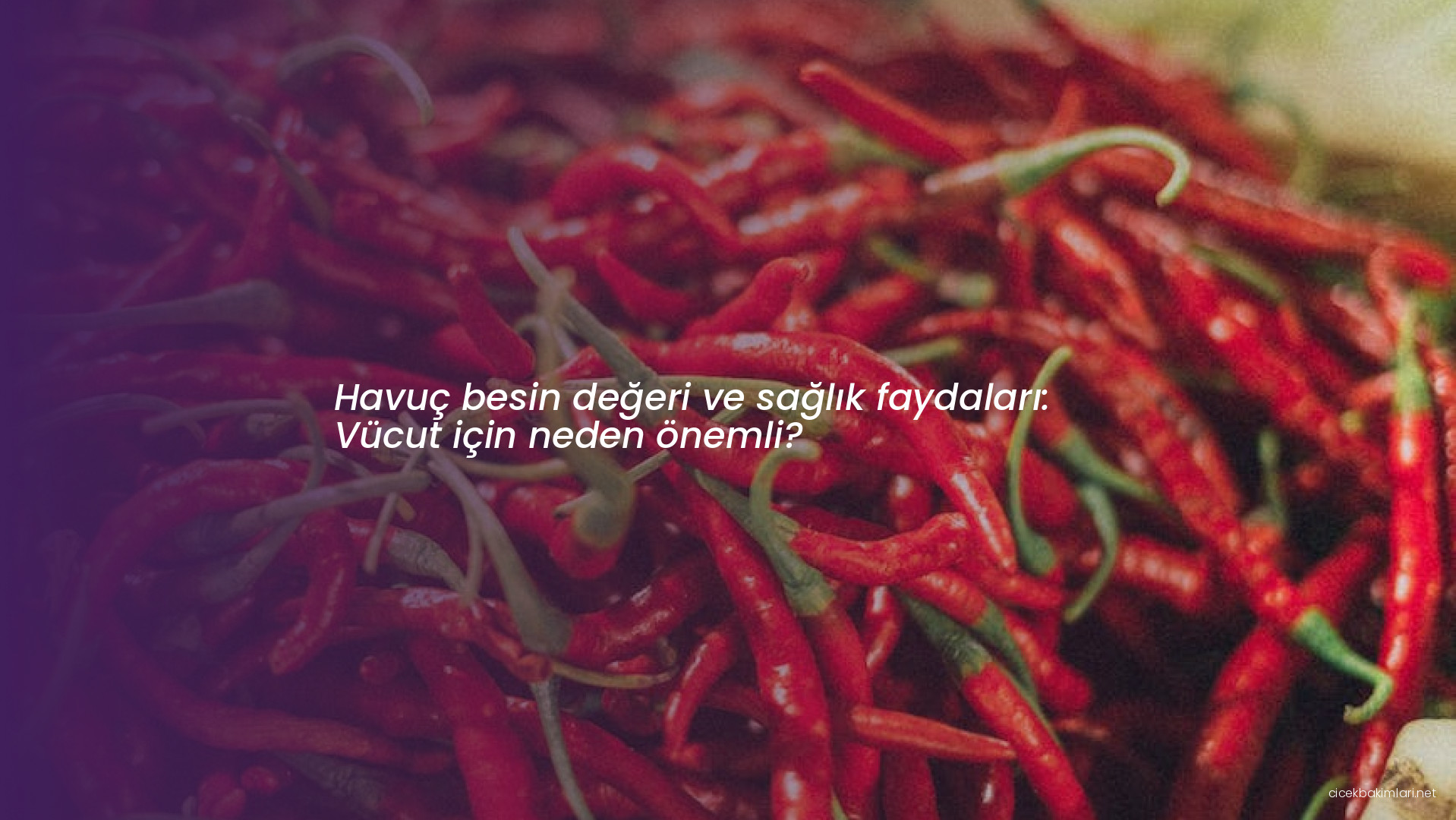 Havuç besin değeri ve sağlık faydaları: Vücut için neden önemli?