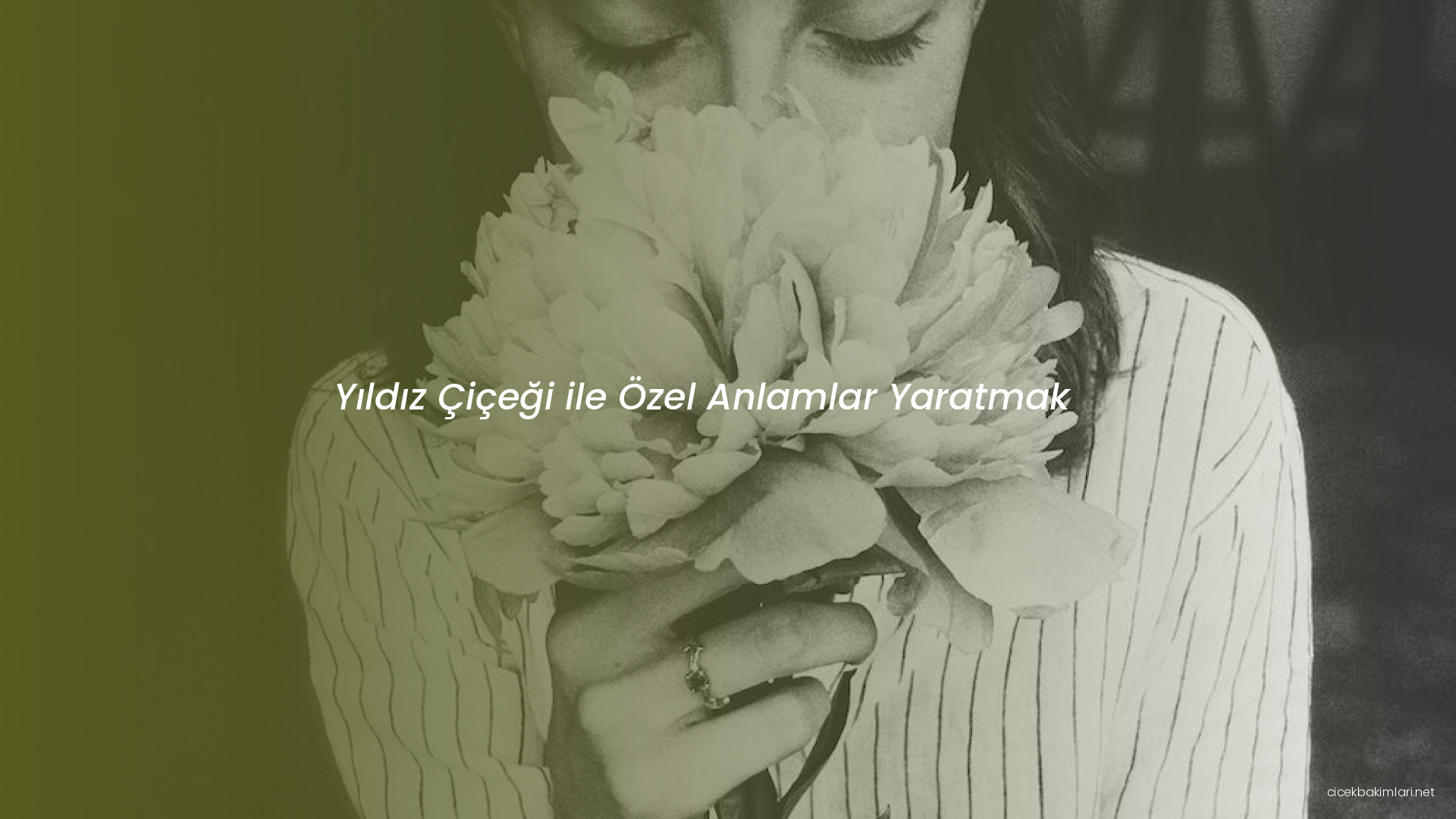 Yıldız Çiçeği ile Özel Anlamlar Yaratmak