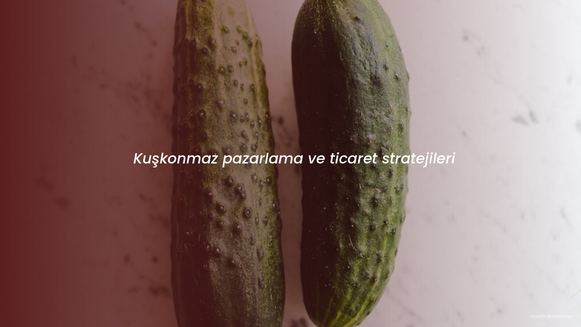 Kuşkonmaz pazarlama ve ticaret stratejileri