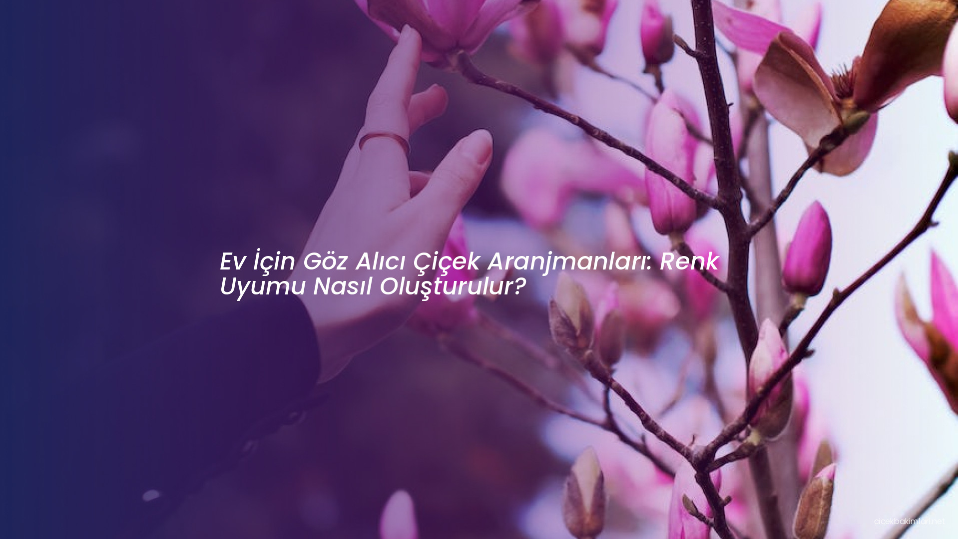 Ev İçin Göz Alıcı Çiçek Aranjmanları: Renk Uyumu Nasıl Oluşturulur?