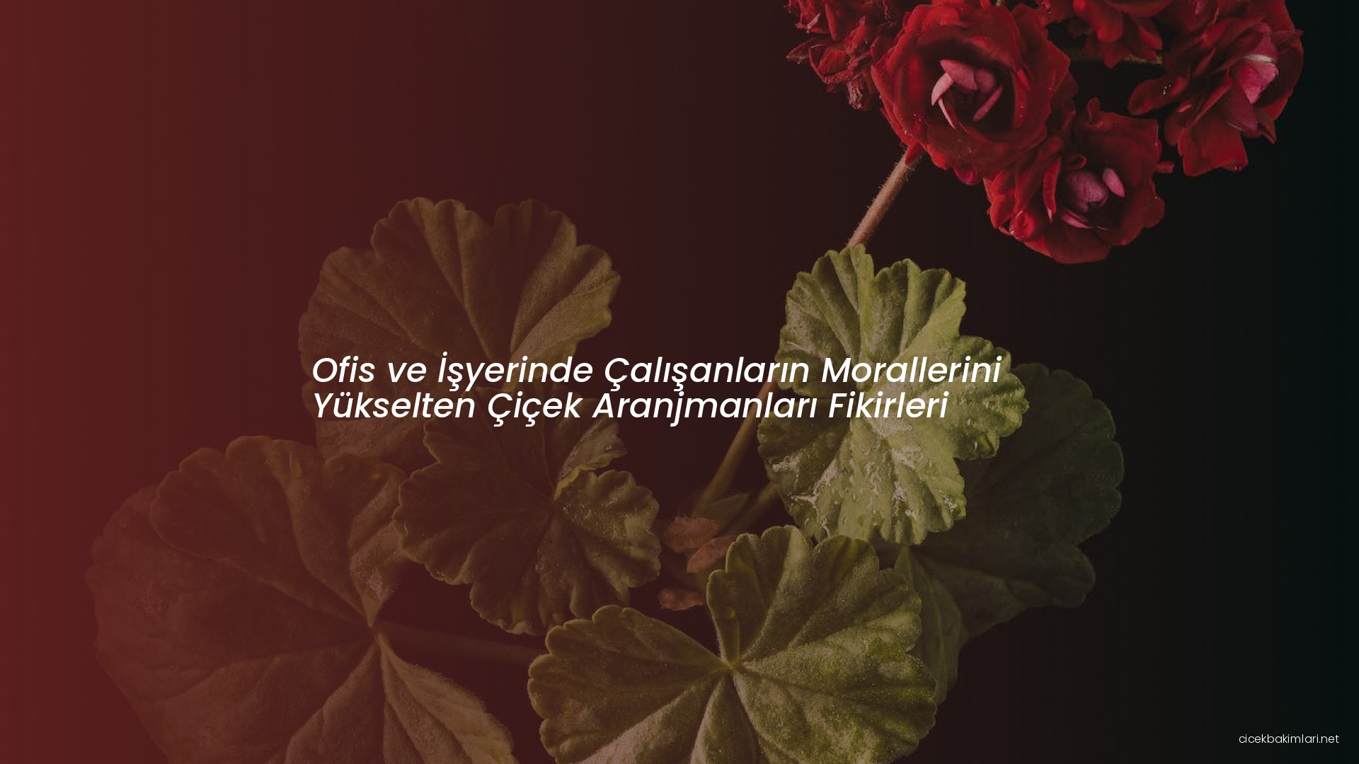 Ofis ve İşyerinde Çalışanların Morallerini Yükselten Çiçek Aranjmanları Fikirleri