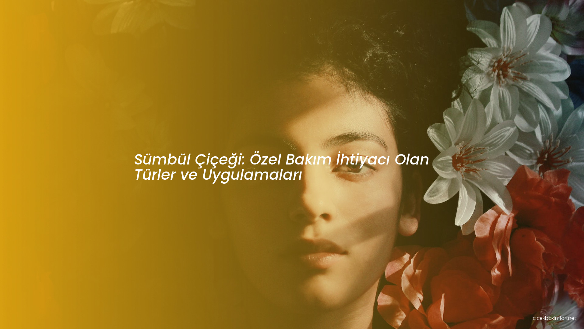 Sümbül Çiçeği: Özel Bakım İhtiyacı Olan Türler ve Uygulamaları