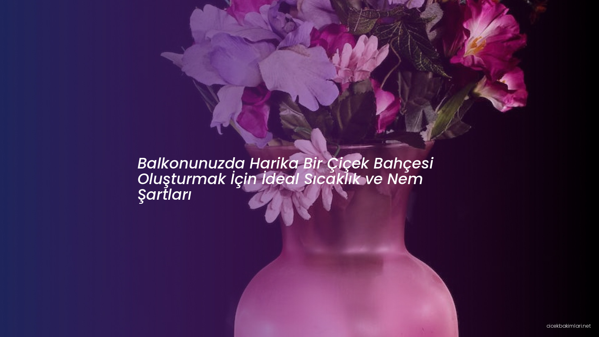 Balkonunuzda Harika Bir Çiçek Bahçesi Oluşturmak İçin İdeal Sıcaklık ve Nem Şartları