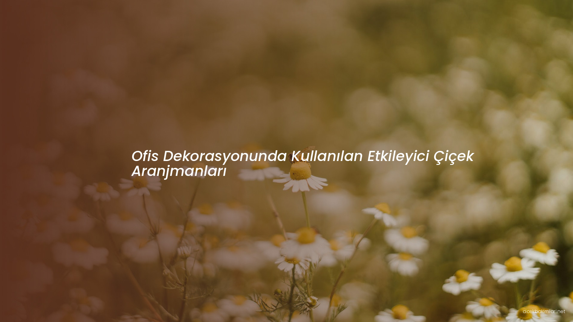 Ofis Dekorasyonunda Kullanılan Etkileyici Çiçek Aranjmanları