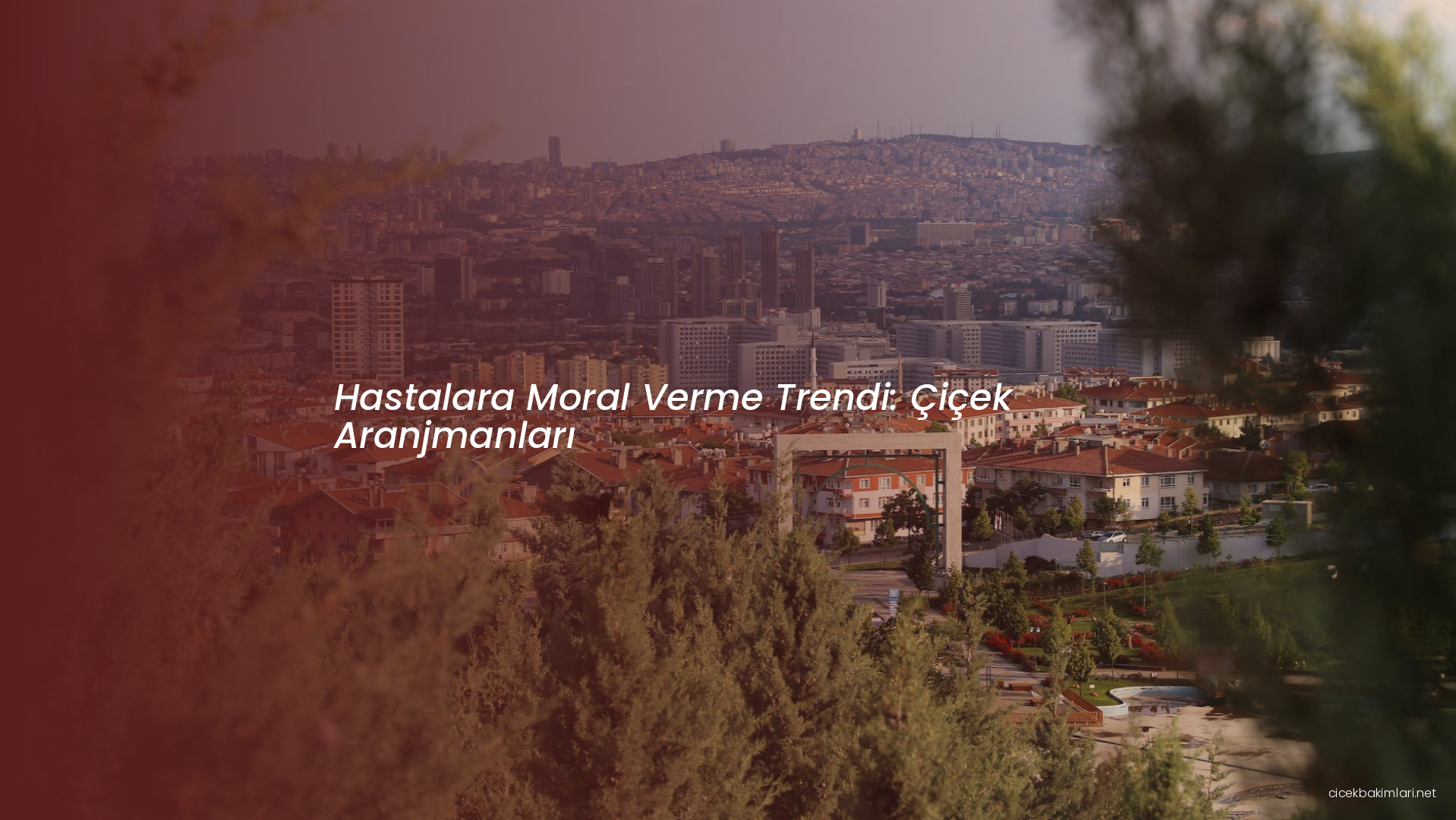 Hastalara Moral Verme Trendi: Çiçek Aranjmanları