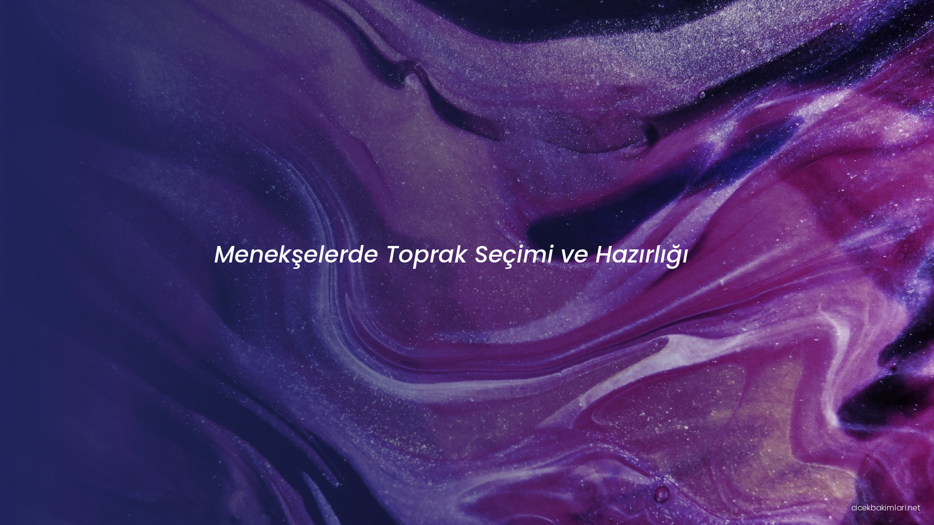 Menekşelerde Toprak Seçimi ve Hazırlığı