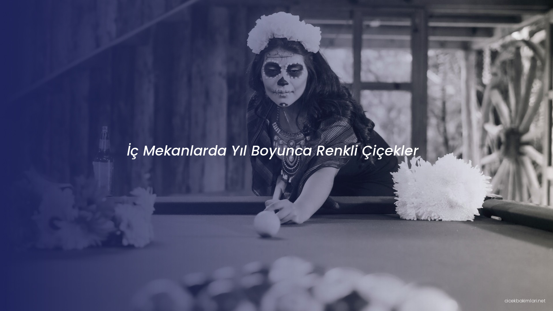 İç Mekanlarda Yıl Boyunca Renkli Çiçekler