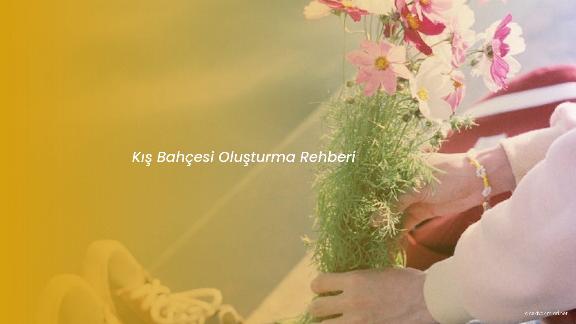 Kış Bahçesi Oluşturma Rehberi