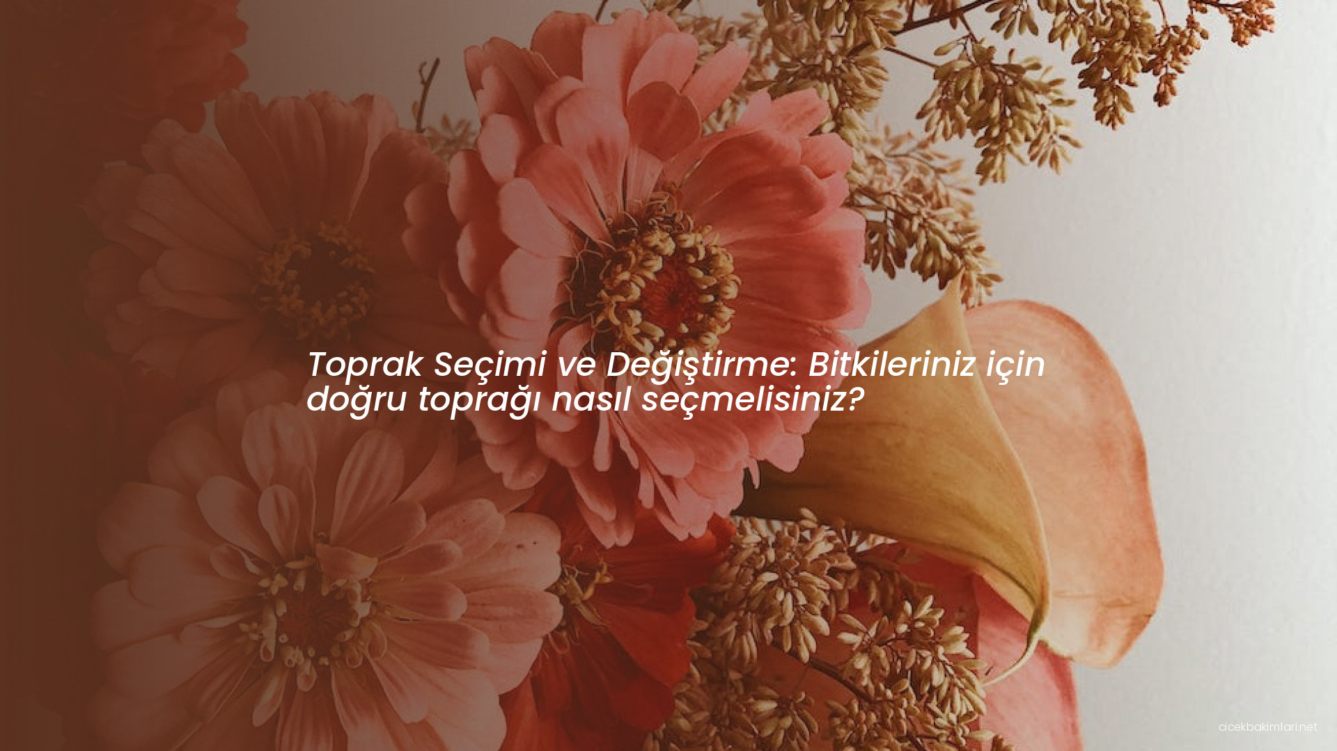 Toprak Seçimi ve Değiştirme: Bitkileriniz için doğru toprağı nasıl seçmelisiniz?