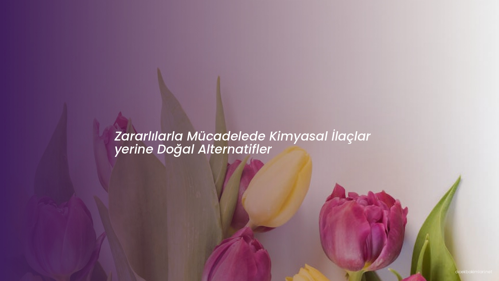 Zararlılarla Mücadelede Kimyasal İlaçlar yerine Doğal Alternatifler