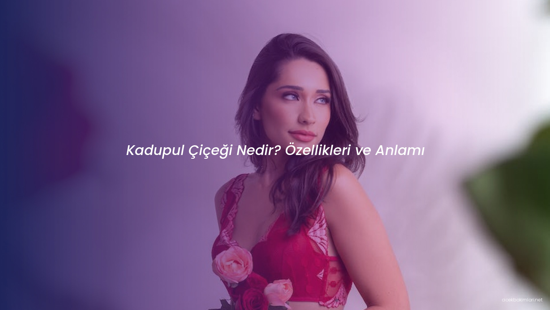 Kadupul Çiçeği Nedir? Özellikleri ve Anlamı
