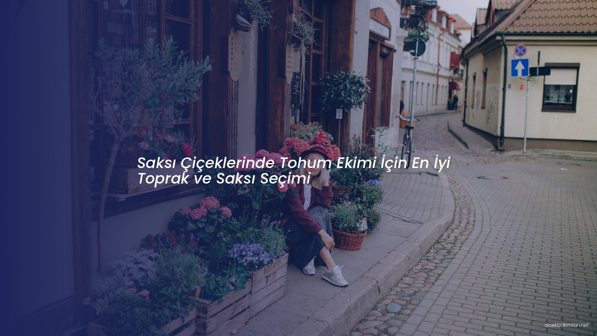 Saksı Çiçeklerinde Tohum Ekimi İçin En İyi Toprak ve Saksı Seçimi