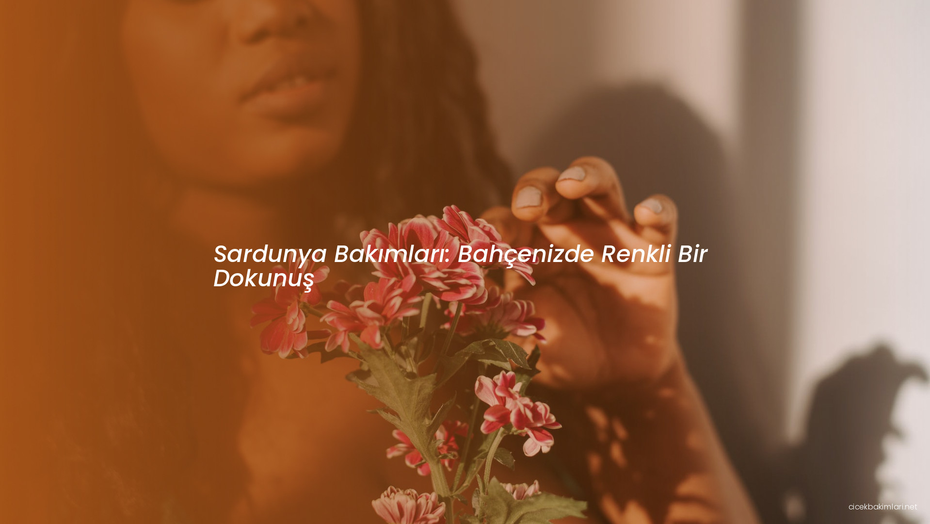 Sardunya Bakımları: Bahçenizde Renkli Bir Dokunuş