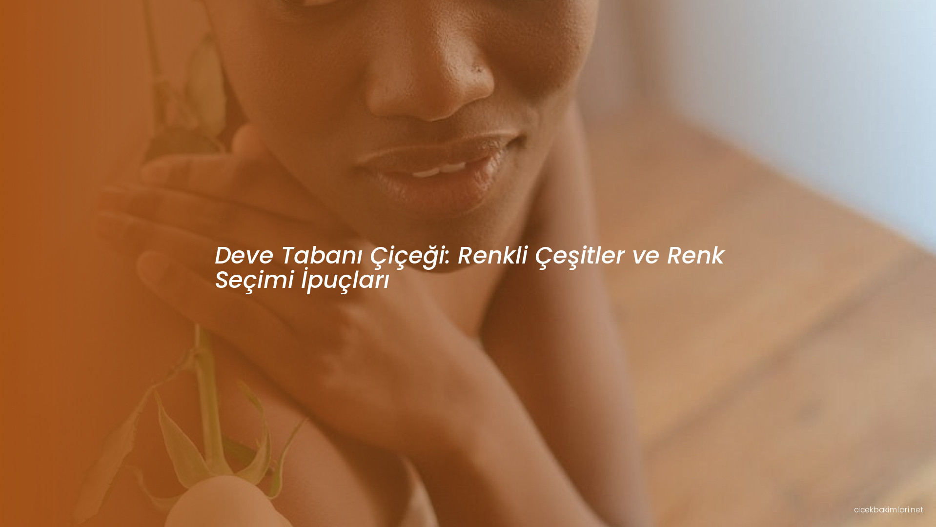 Deve Tabanı Çiçeği: Renkli Çeşitler ve Renk Seçimi İpuçları