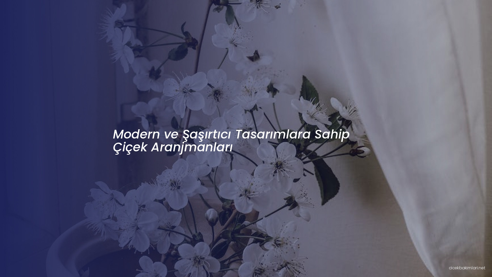 Modern ve Şaşırtıcı Tasarımlara Sahip Çiçek Aranjmanları