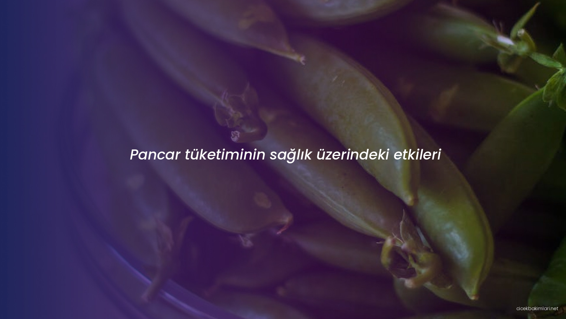 Pancar tüketiminin sağlık üzerindeki etkileri
