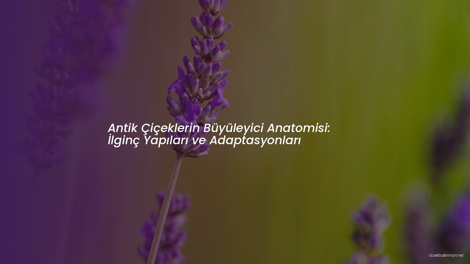 Antik Çiçeklerin Büyüleyici Anatomisi: İlginç Yapıları ve Adaptasyonları