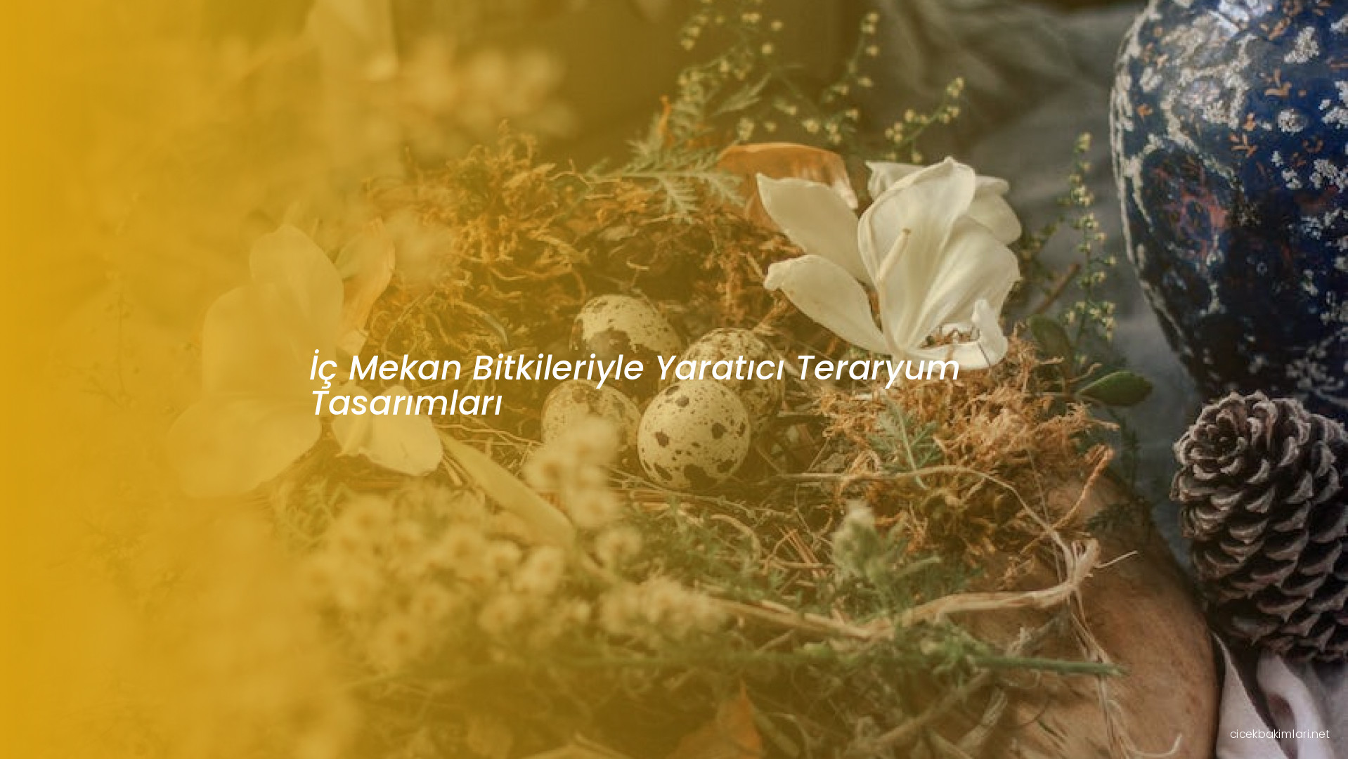 İç Mekan Bitkileriyle Yaratıcı Teraryum Tasarımları