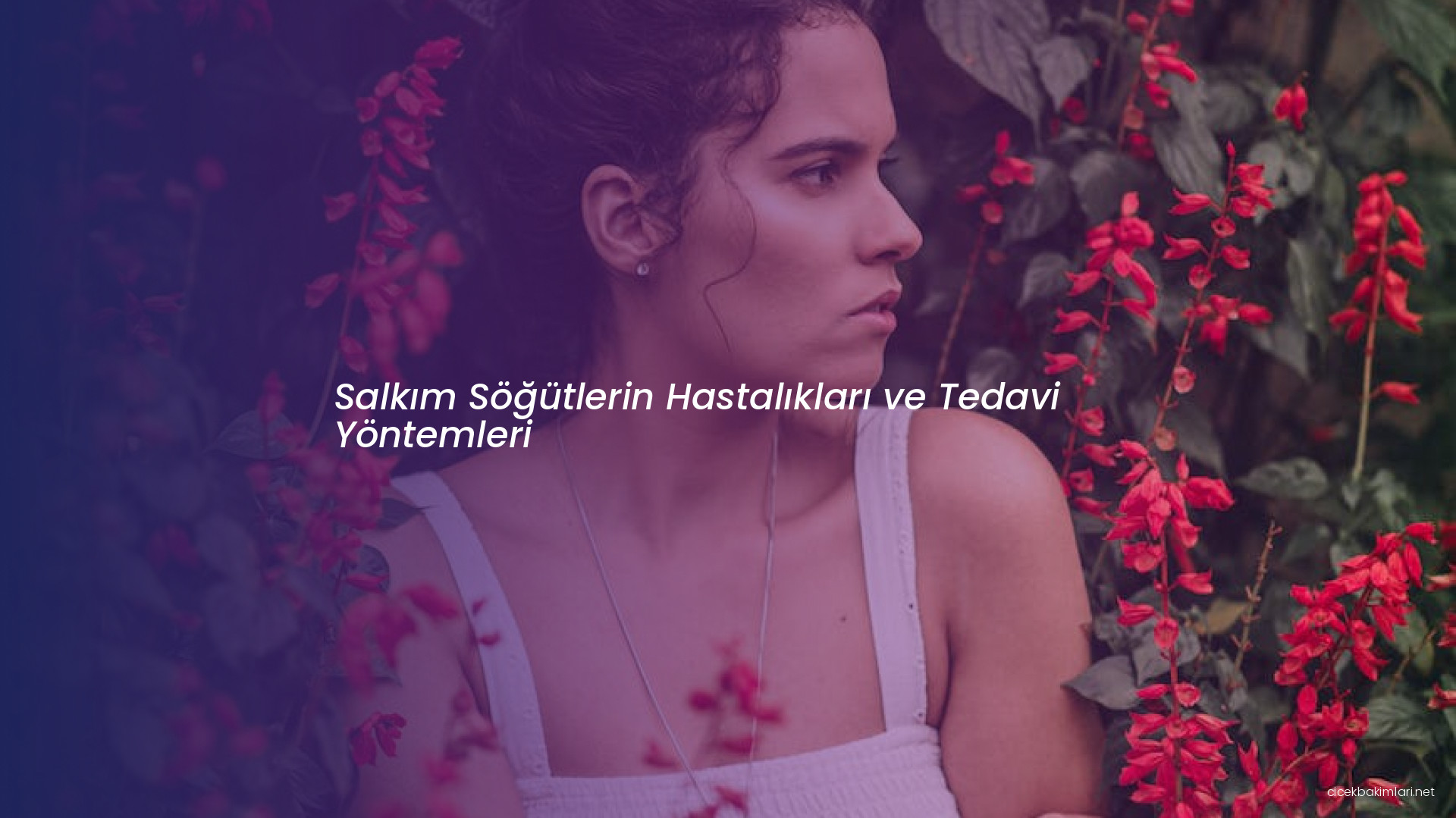 Salkım Söğütlerin Hastalıkları ve Tedavi Yöntemleri
