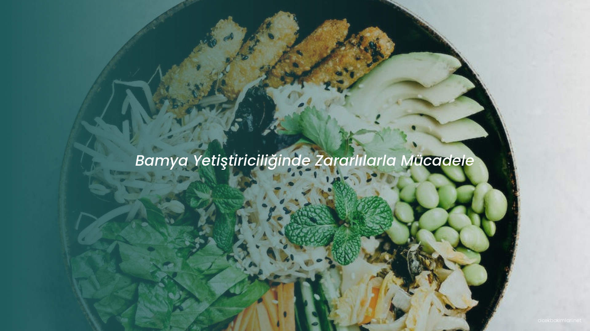 Bamya Yetiştiriciliğinde Zararlılarla Mücadele