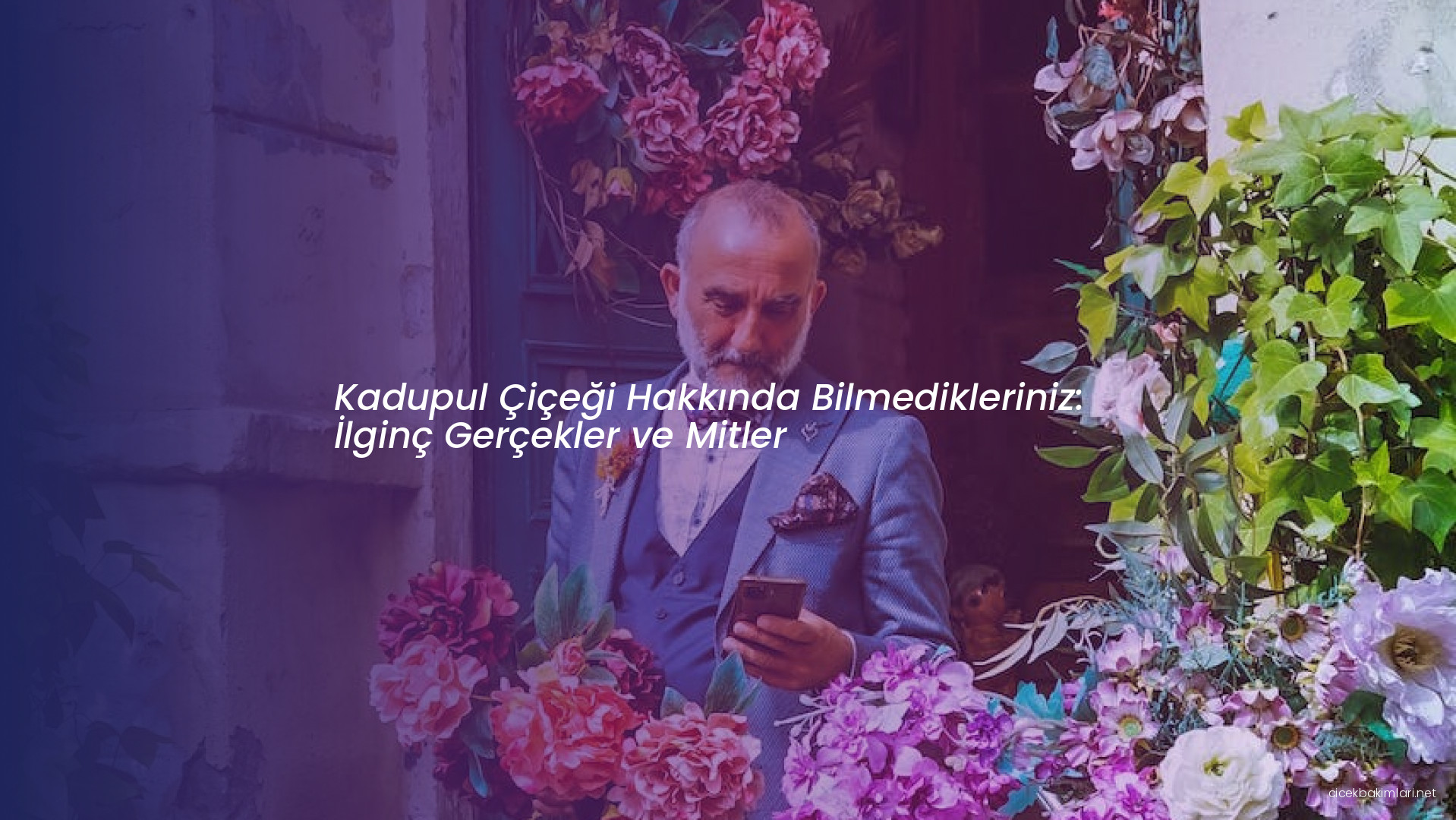 Kadupul Çiçeği Hakkında Bilmedikleriniz: İlginç Gerçekler ve Mitler