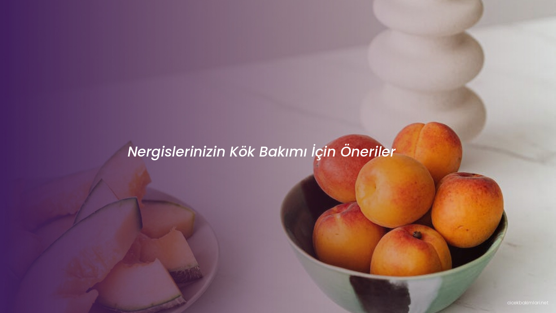 Nergislerinizin Kök Bakımı İçin Öneriler